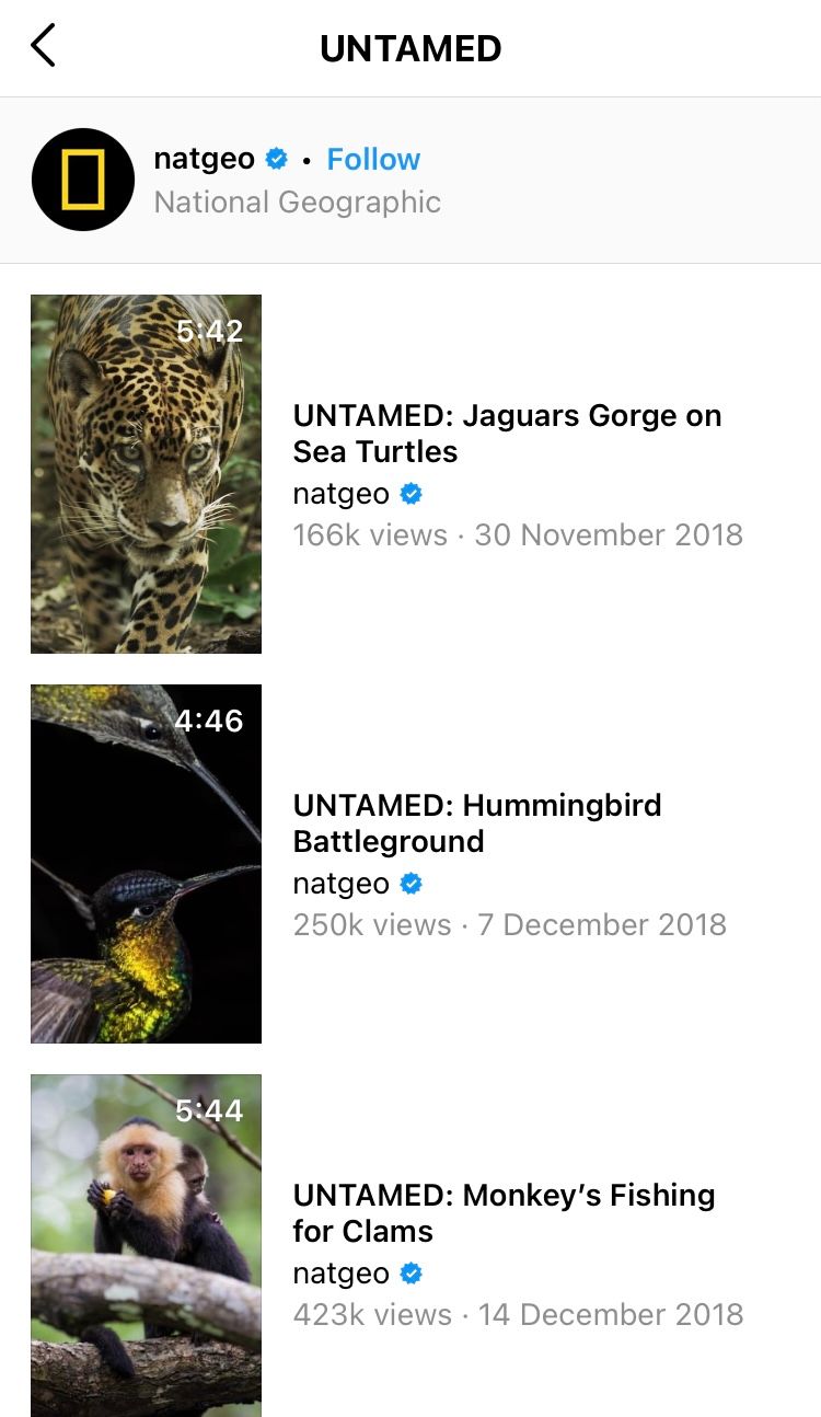 IGTV series ‘UNTAMED’ by @natgeo on Instagram