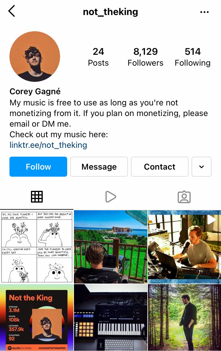 Instagram profile of musician @not_theking featuring free royalty-free, no copyright music for social media content