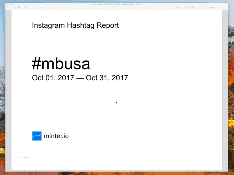 Instagram Analytics Report in PDF