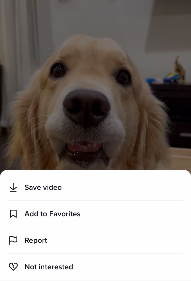 Save content or add to favourites by pressing and holding on the video on TikTok