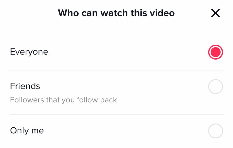 Decide whether everyone, your friends or only you can watch your TikTok video