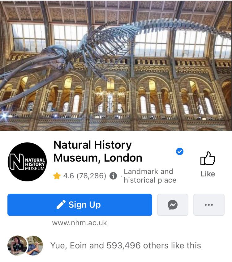 Facebook Page banner by Natural History Museum, London