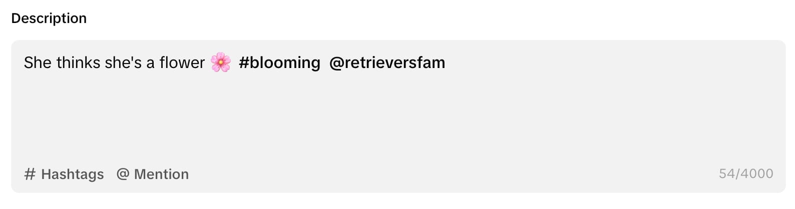 Change the caption, hashtags and mentions