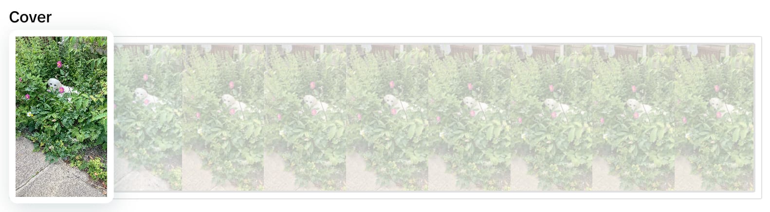 Edit the cover image