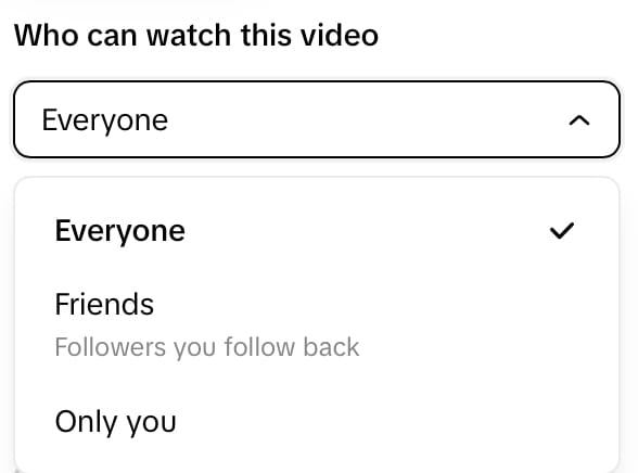 Edit the video's visibility