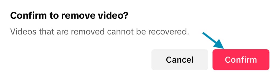 Confirm the choice to delete a video