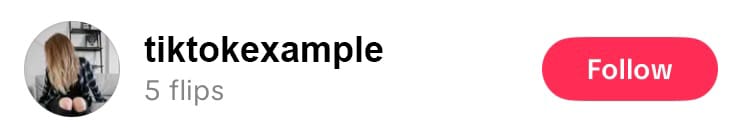 Flip Stories creators can see which viewers revealed the second image and how many times