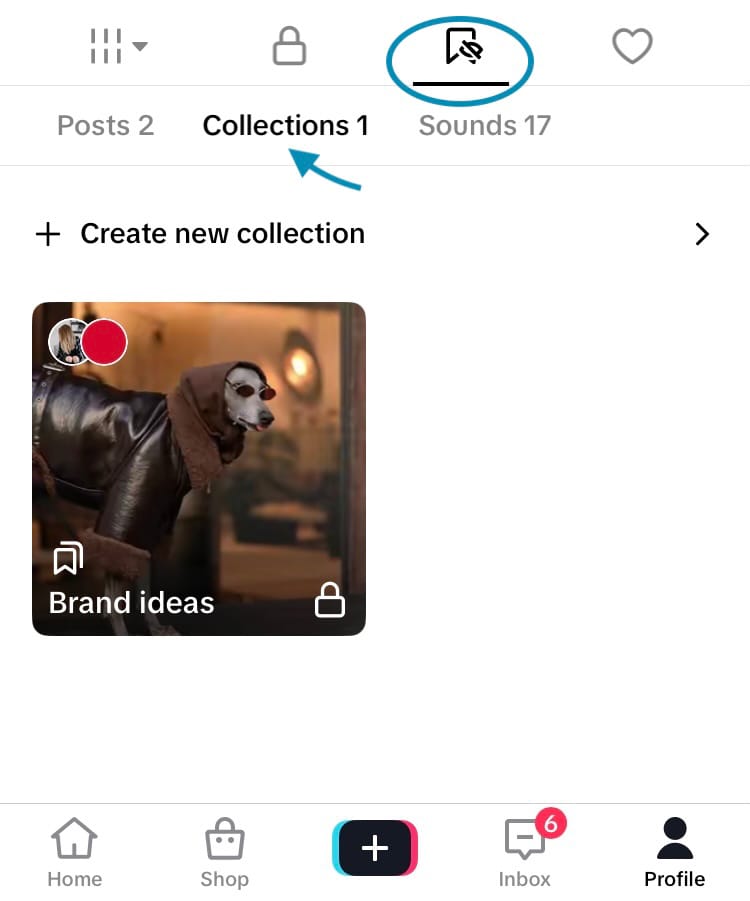 Navigate to a Shared Collection from your TikTok profile