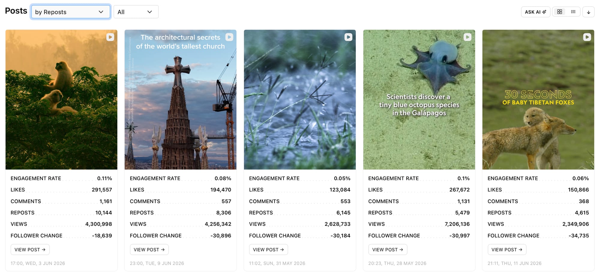 Access analytical graphs for your competitor's social media accounts with Minter.io