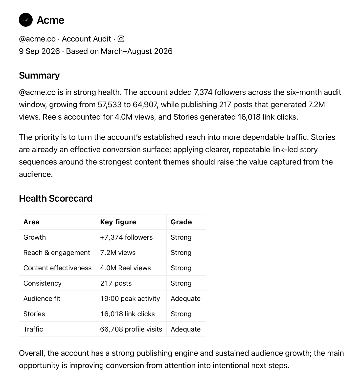 Instagram audit report templates in Minter.io: Account Audit