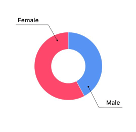 TikTok: Gender of Followers